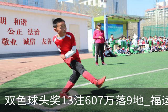双色球头奖13注607万落9地 福运奖开1004万注