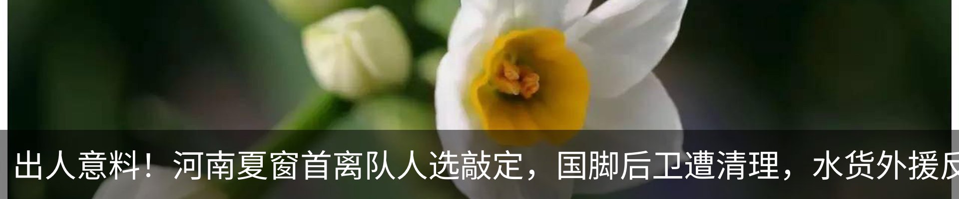 新闻中心